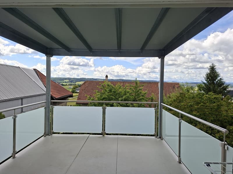 schöne 3.5 Zi. Wohnung mit grosser Terrasse (2)