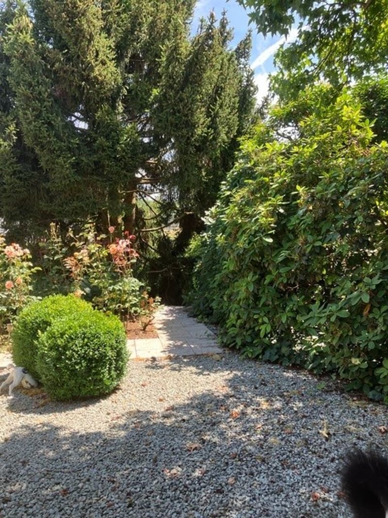 gravel path, hedges, bushes, flowers, trees, statue