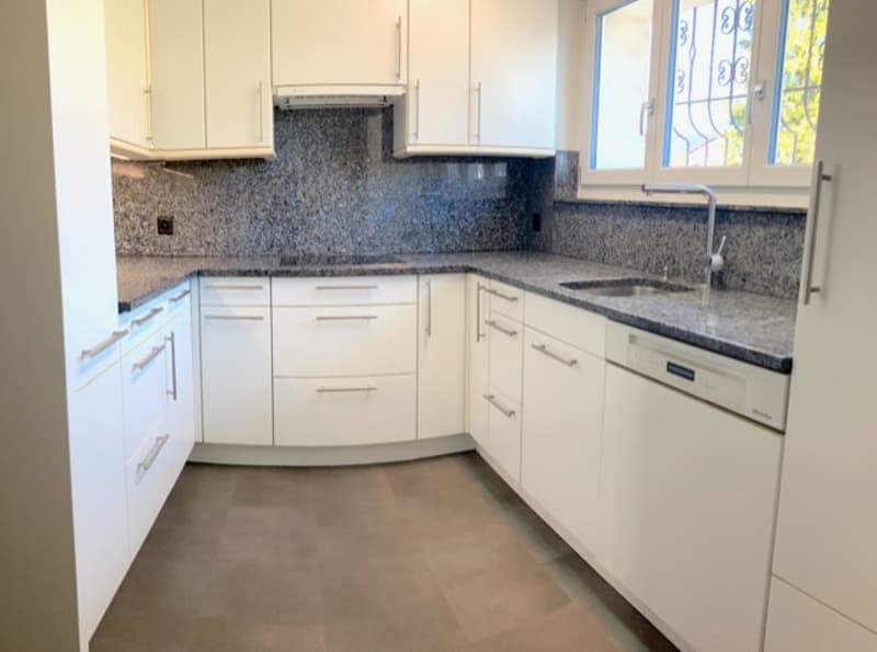modern kitchen with white cabinets, granite countertops, stainless steel sink, dishwasher, and a window with decorative glass