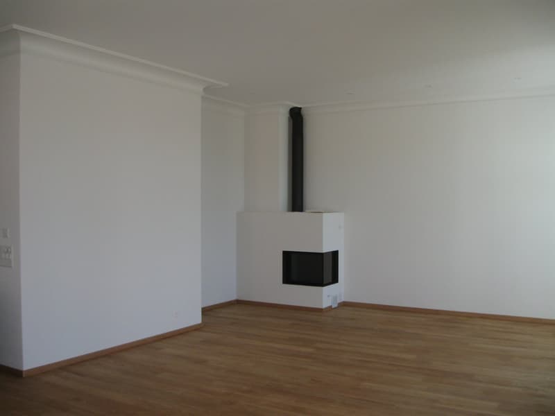 Appartement de luxe sur Zürichberg avec vue sur le lac (7)