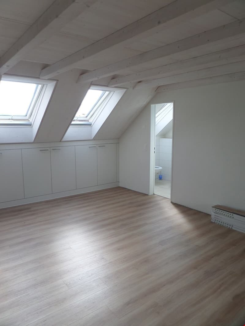 Dachwohnung mitten in der Altstadt am Neumarkt (3)