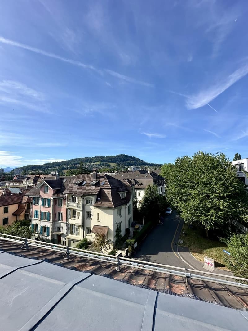 Wohnen im Weissenbühl  Zentrale 3.5-Zimmer-Dachwohnung (7)
