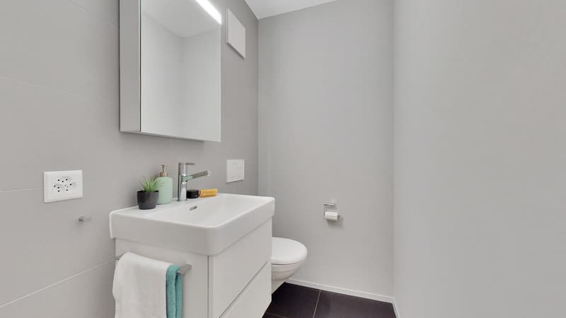 Frisch sanierte 4.5-Zimmerwohnung (8)