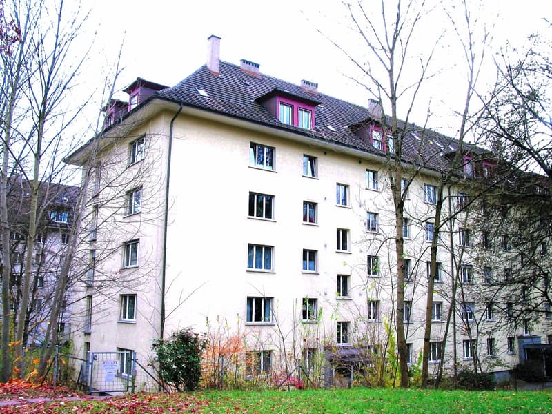 Renovierte 3-Zimmerwohnung im ruhigen Egghölzli zu vermieten (1)