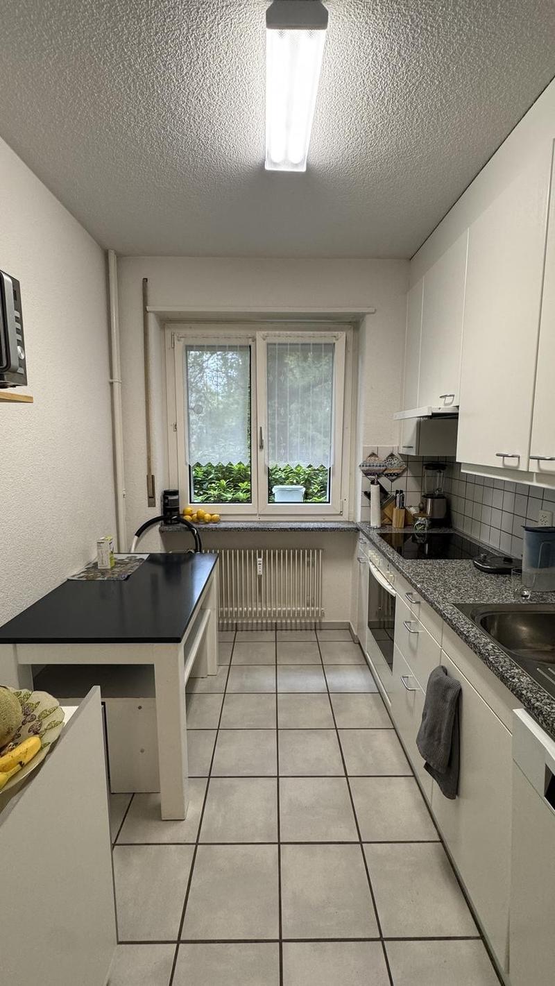 Renovierte 3-Zimmerwohnung im ruhigen Egghölzli zu vermieten (3)