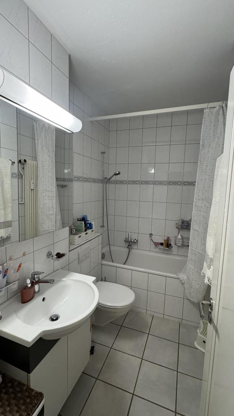 Renovierte 3-Zimmerwohnung im ruhigen Egghölzli zu vermieten (4)