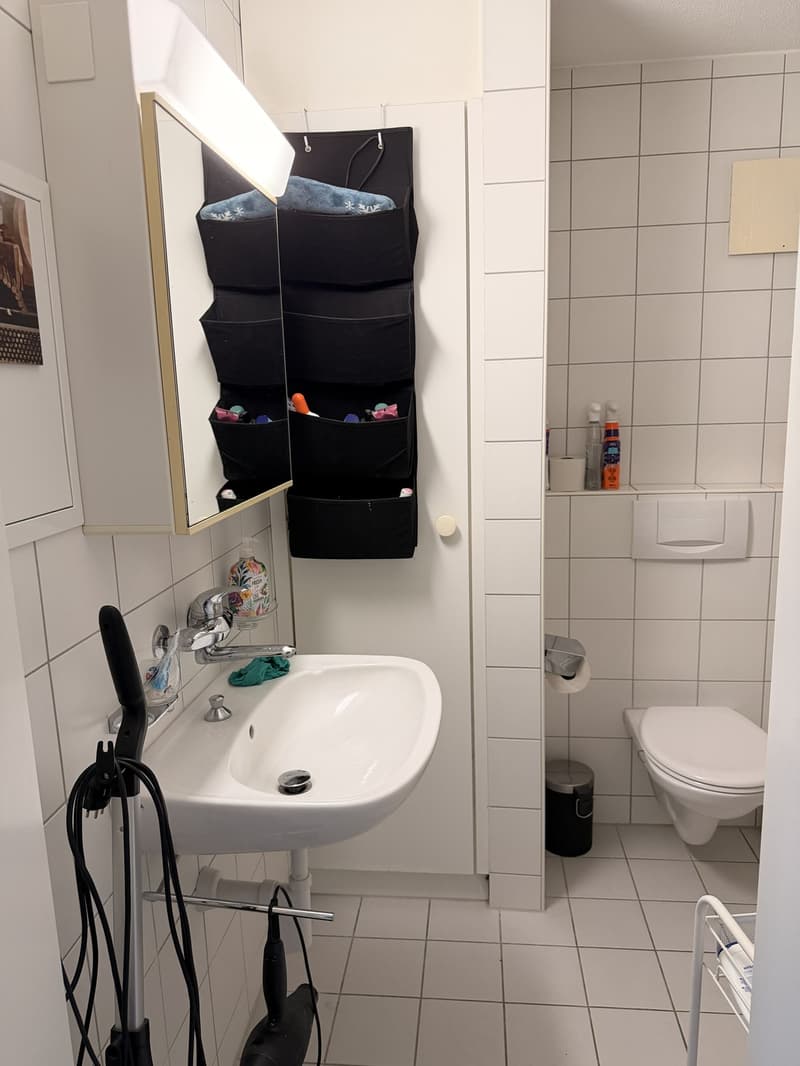 Sind Sie Single und suchen eine neue Wohnung? (5)