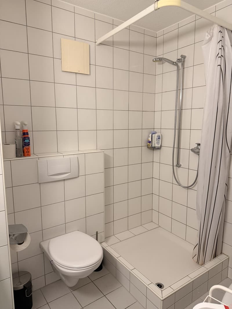 Sind Sie Single und suchen eine neue Wohnung? (4)