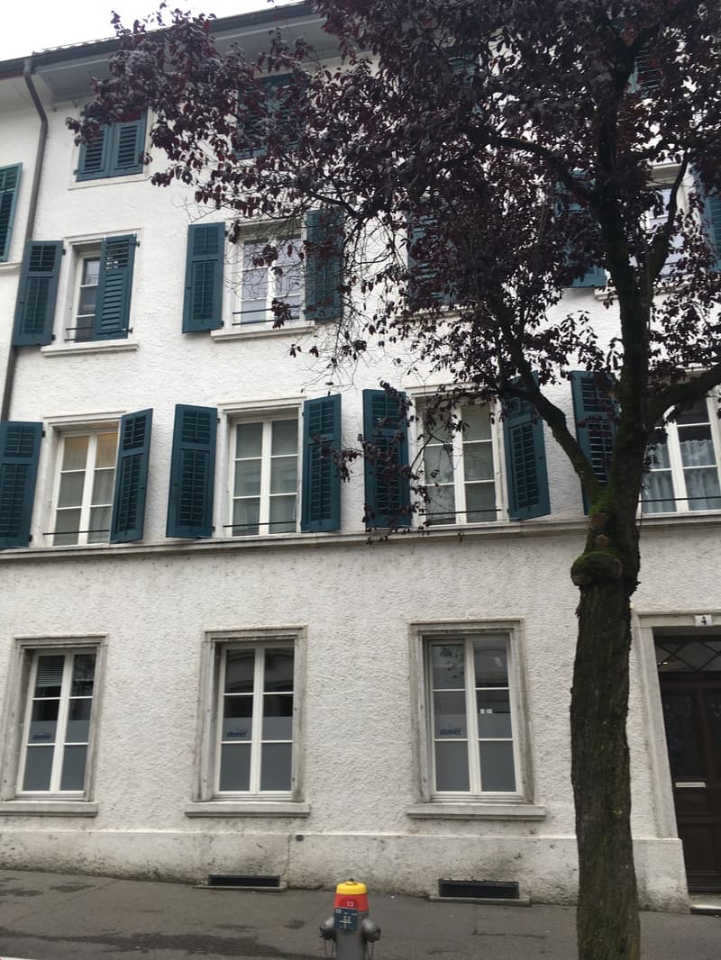 A multi-story white building with green shutters on the windows, surrounded by trees with purple leaves.