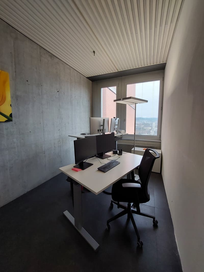 Red Tower, 8400 Winterthur (13th floor) (6)