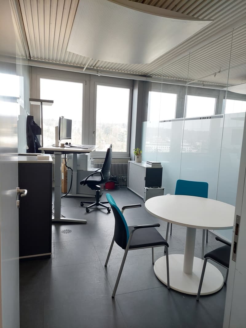 Red Tower, 8400 Winterthur (13th floor) (5)