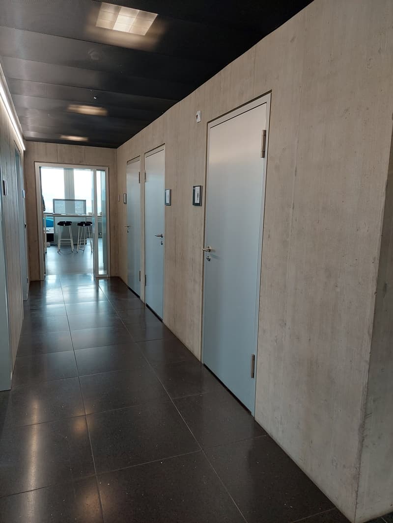 Red Tower, 8400 Winterthur (13th floor) (4)