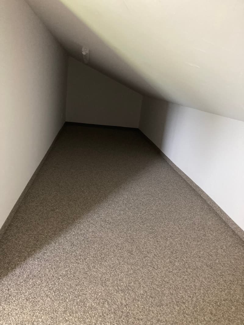 An empty room with white walls and a sloped ceiling with carpet floor