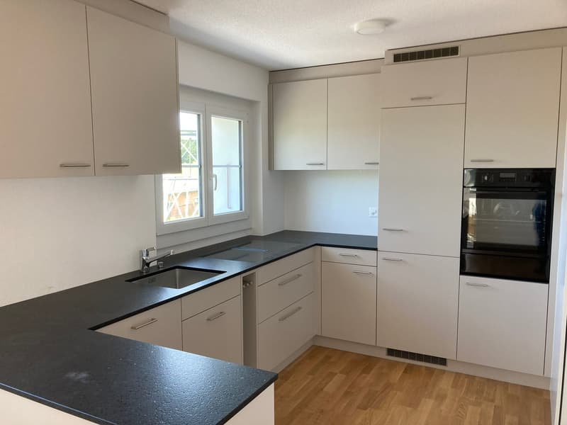 Modern white kitchen with black countertops, large window, double oven, sink, dishwasher, washing machine, wooden floor