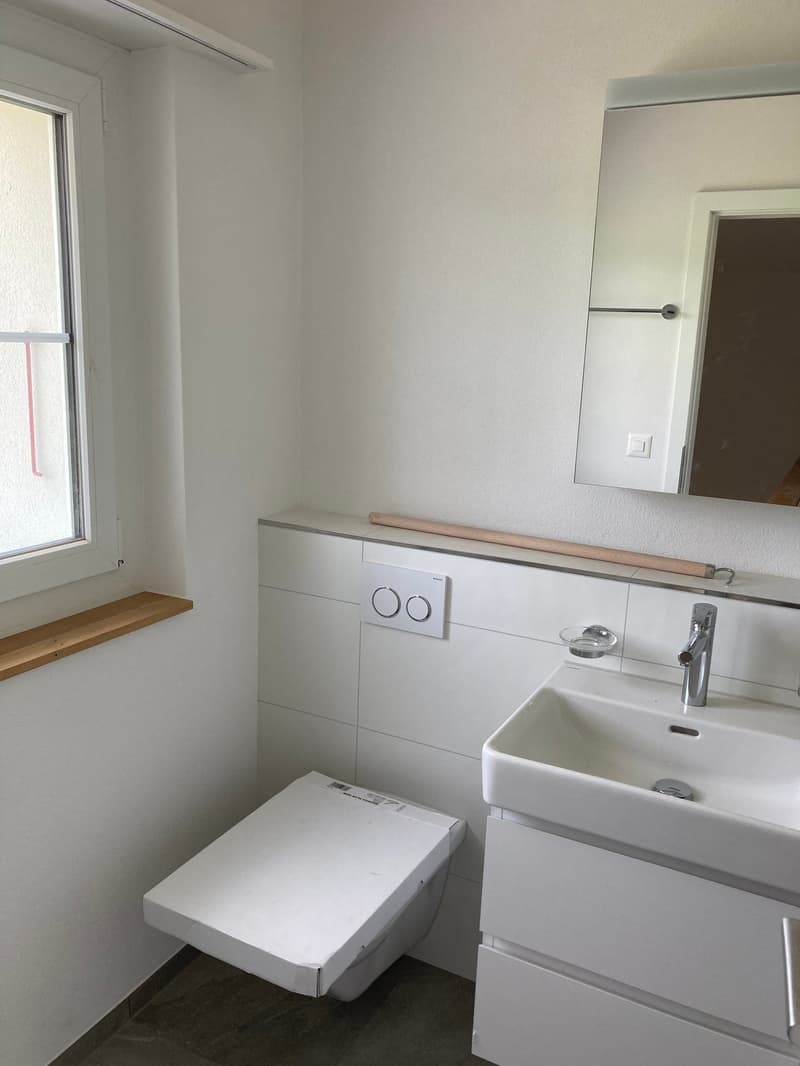 modern bathroom, white tiles, white toilet, white sink, mirror