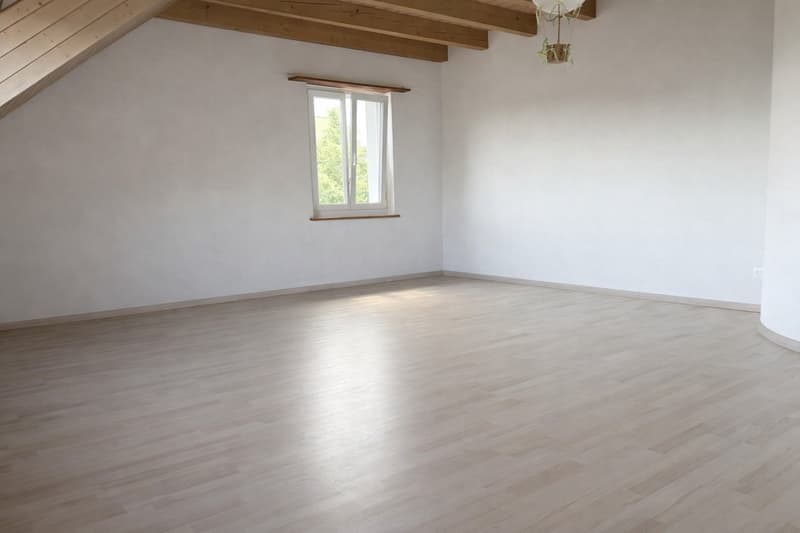 Charmante 4.5-Zimmer-Maisonette-Wohnung in Dottikon – sofort verfügbar! (6)