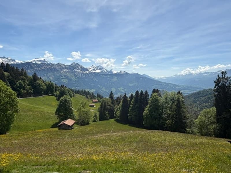 Charmantes Haus in Beatenberg mit atemberaubender Aussicht (23)