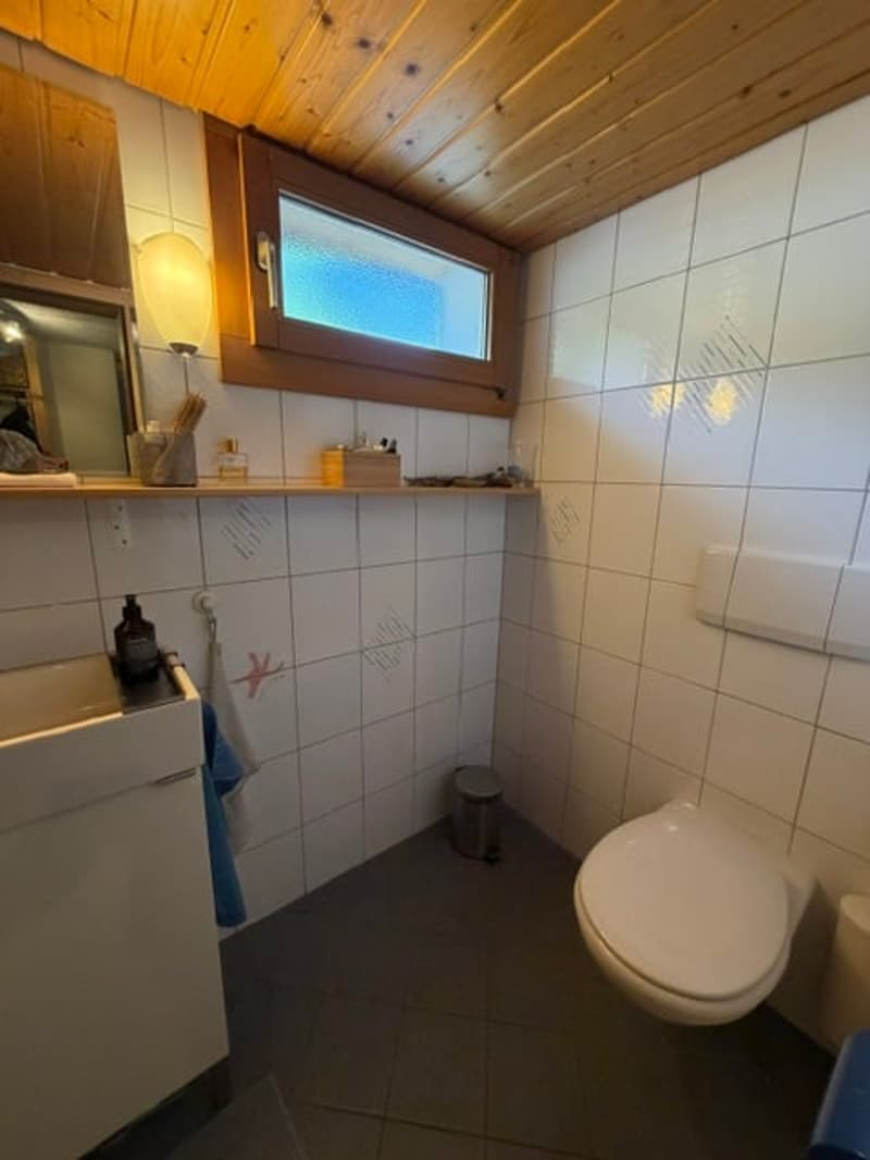 Charmantes Haus in Beatenberg mit atemberaubender Aussicht (11)