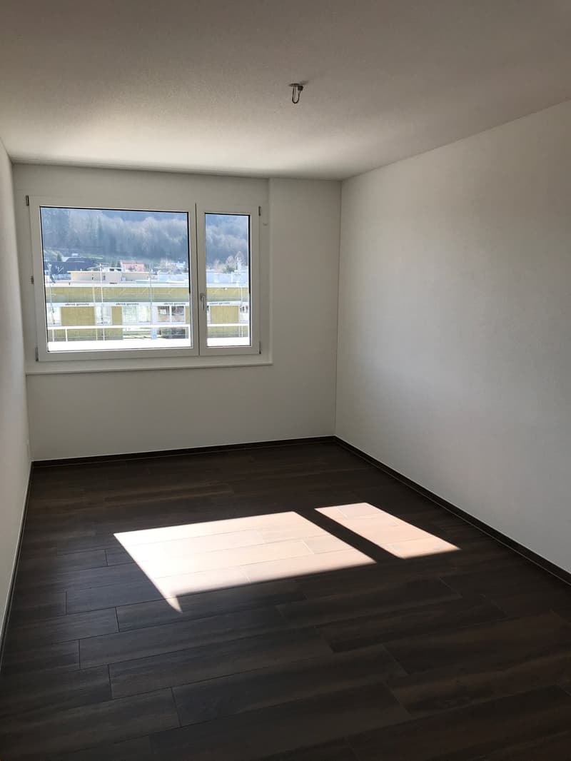 wunderbare Attikawohnung mit grosser Terrasse (6)