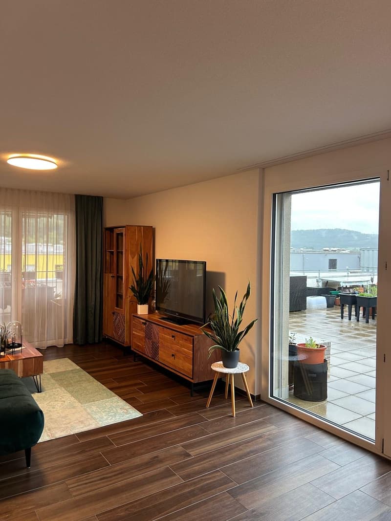 wunderbare Attikawohnung mit grosser Terrasse (16)
