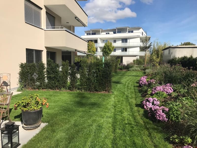 Schöne 2.5 Zi-Wohnung (2)