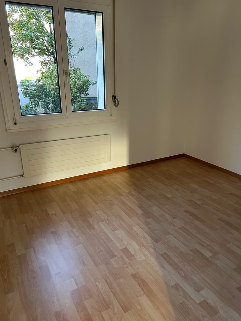 3.5 Zi-Wohnung mit eigenem Gartenanteil (5)