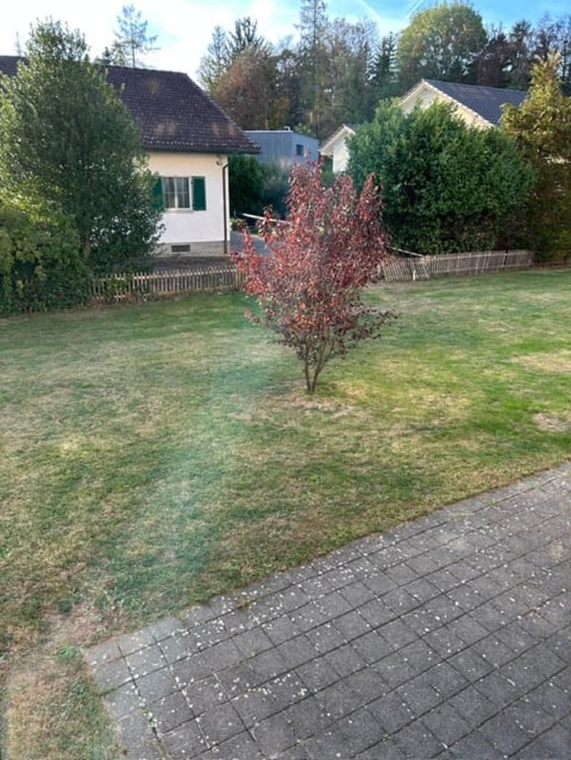 3.5 Zi-Wohnung mit eigenem Gartenanteil (10)
