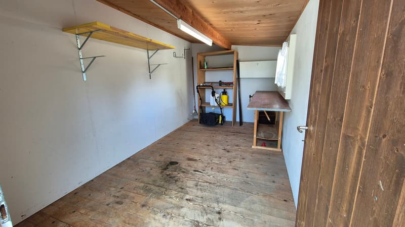 Familienfreundliches 5.5-Zimmer-Einfamilienhaus mit viel Platz und Wintergarten in Klingnau (5)