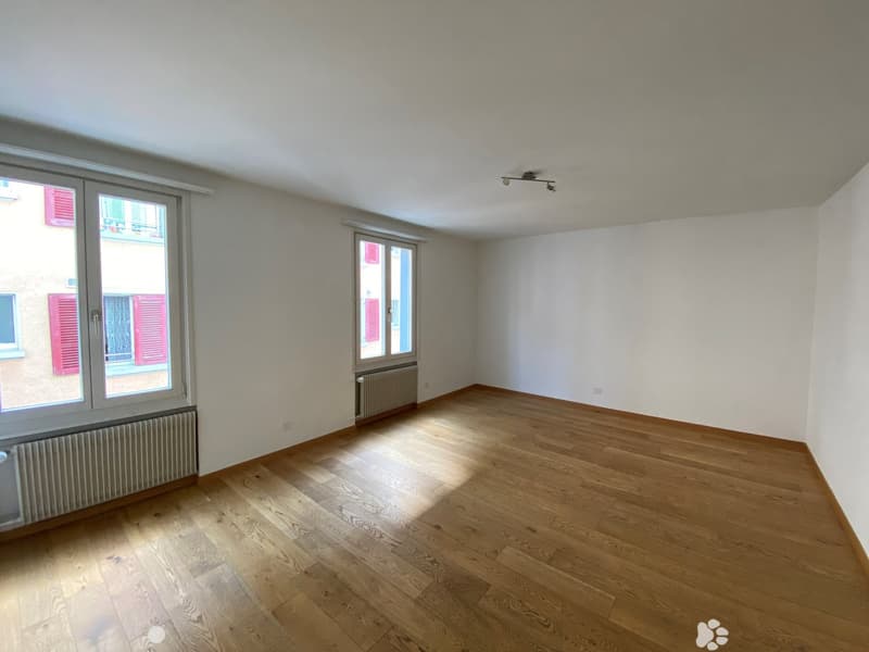 Empty room with wooden floors, white walls, two large windows with red shutters, radiators, and ceiling lights.