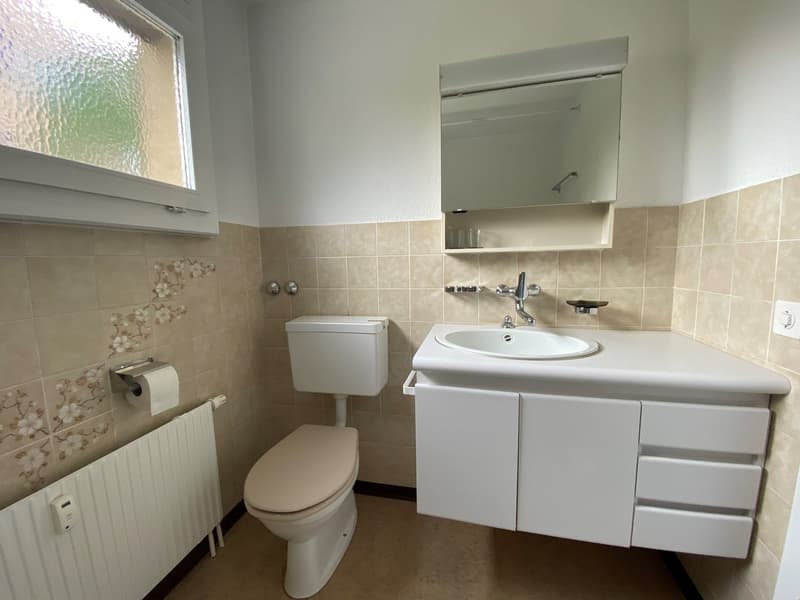 2 1/2 Zi-Parterrewohnung mit Balkon (8)