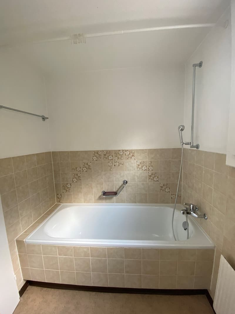 2 1/2 Zi-Parterrewohnung mit Balkon (7)