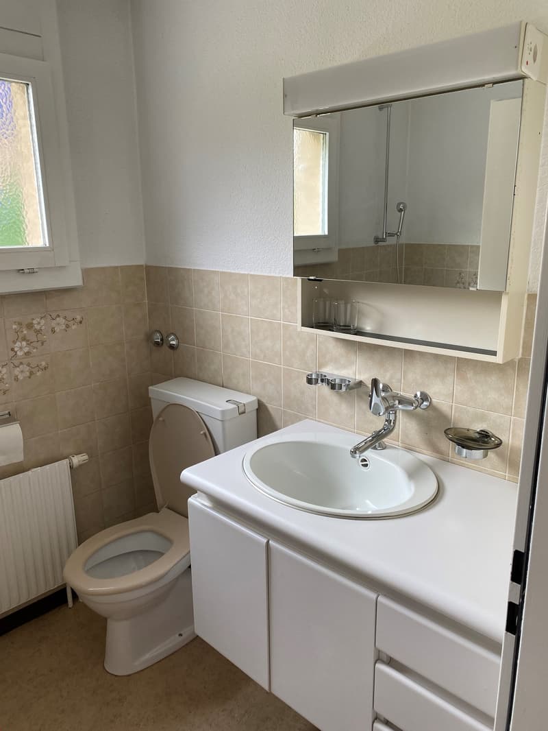 2 1/2 Zi-Parterrewohnung mit Balkon (6)