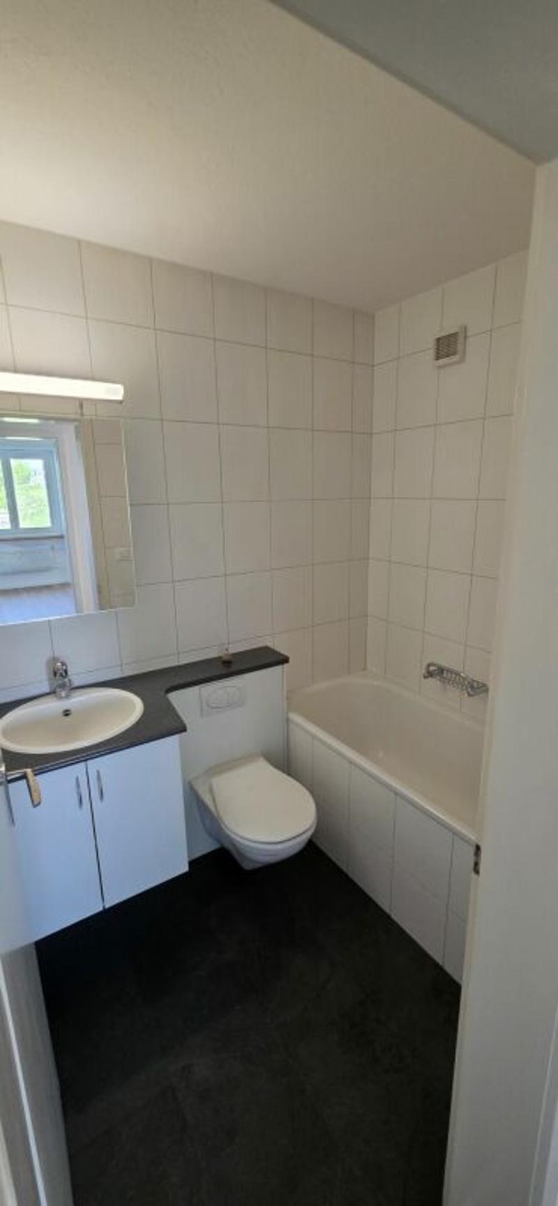 3.5-Zimmerwohnung mit neuer Küche zu vermieten! (4)