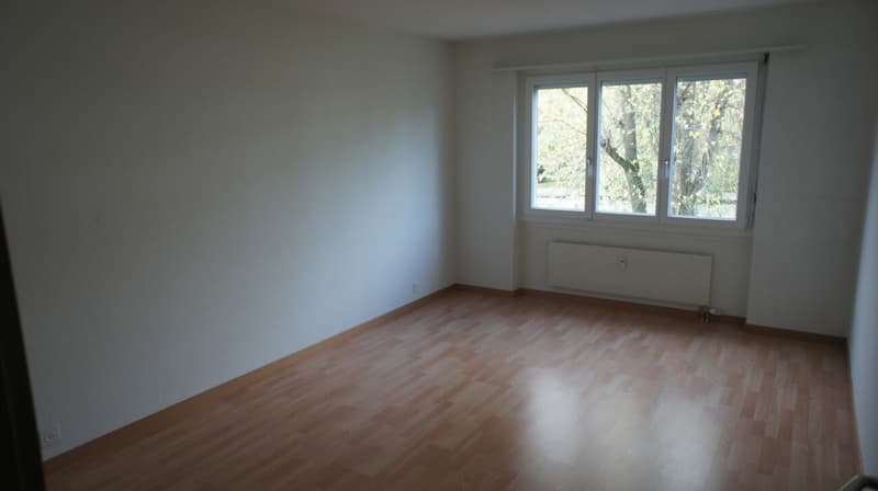 3.5-Zimmerwohnung mit top Aussicht ins Grüne in Schönbühl zu vermieten! (7)