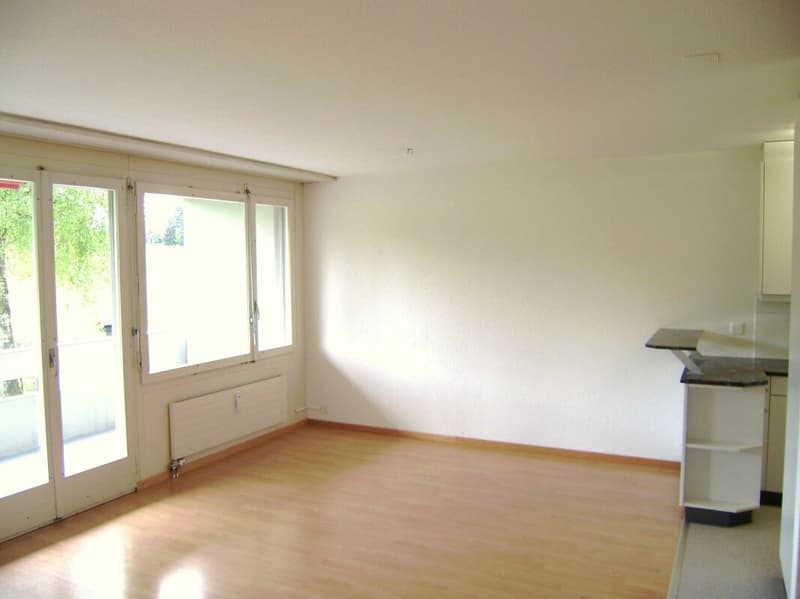 3.5-Zimmerwohnung mit top Aussicht ins Grüne in Schönbühl zu vermieten! (3)