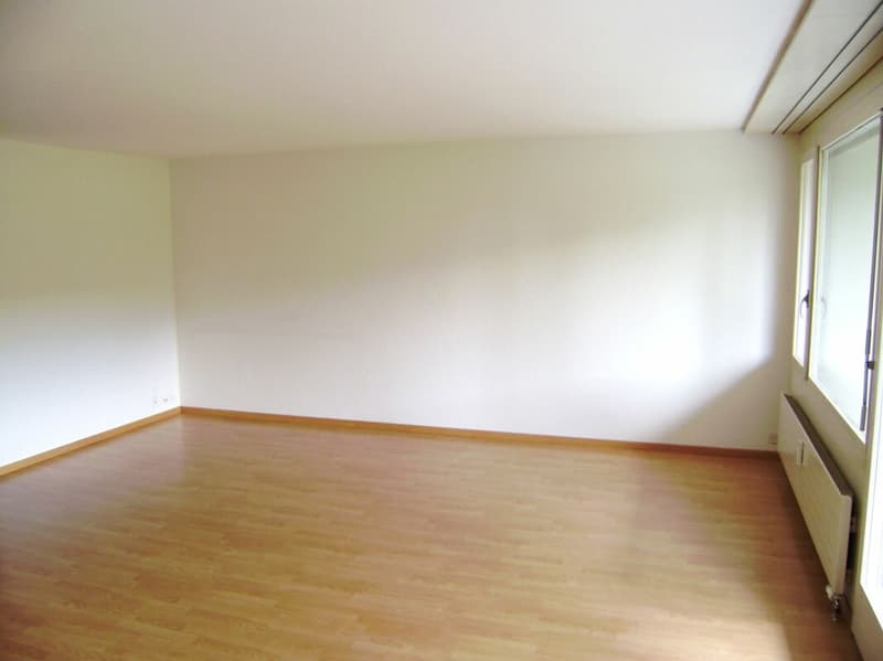 3.5-Zimmerwohnung mit top Aussicht ins Grüne in Schönbühl zu vermieten! (4)