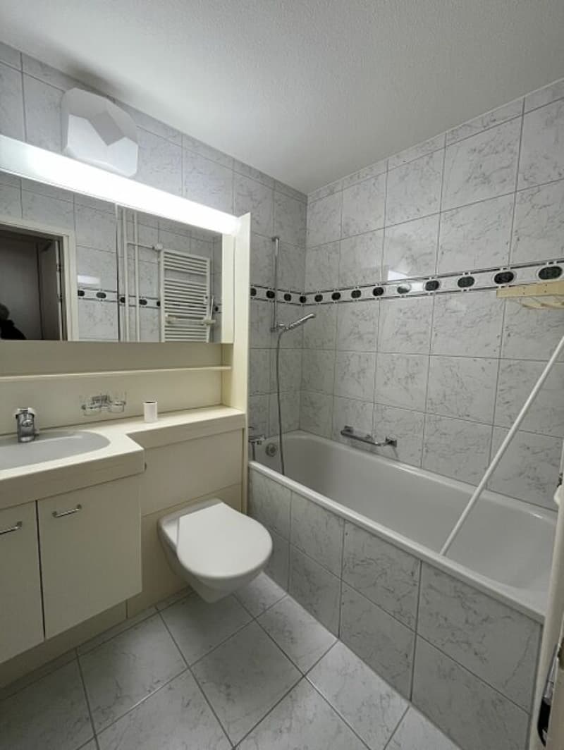Helle 3.5-Zimmerwohnung im 13. Obergeschoss mit grossem Balkon und schöner Aussicht! (3)