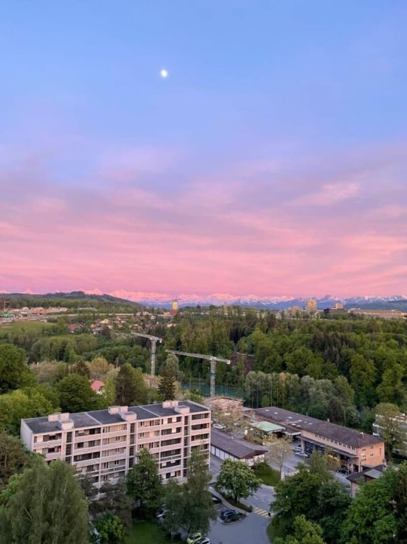 Helle 3.5-Zimmerwohnung im 13. Obergeschoss mit grossem Balkon und schöner Aussicht! (10)