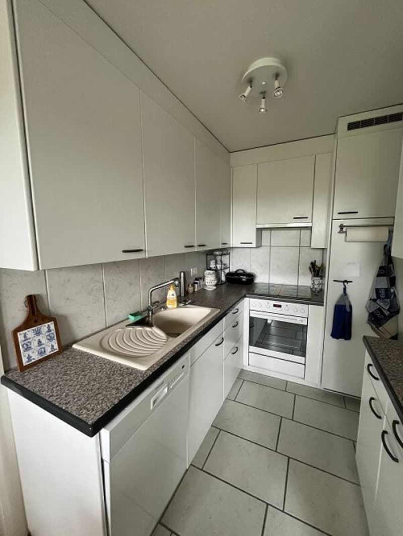 Helle 3.5-Zimmerwohnung im 13. Obergeschoss mit grossem Balkon und schöner Aussicht! (1)