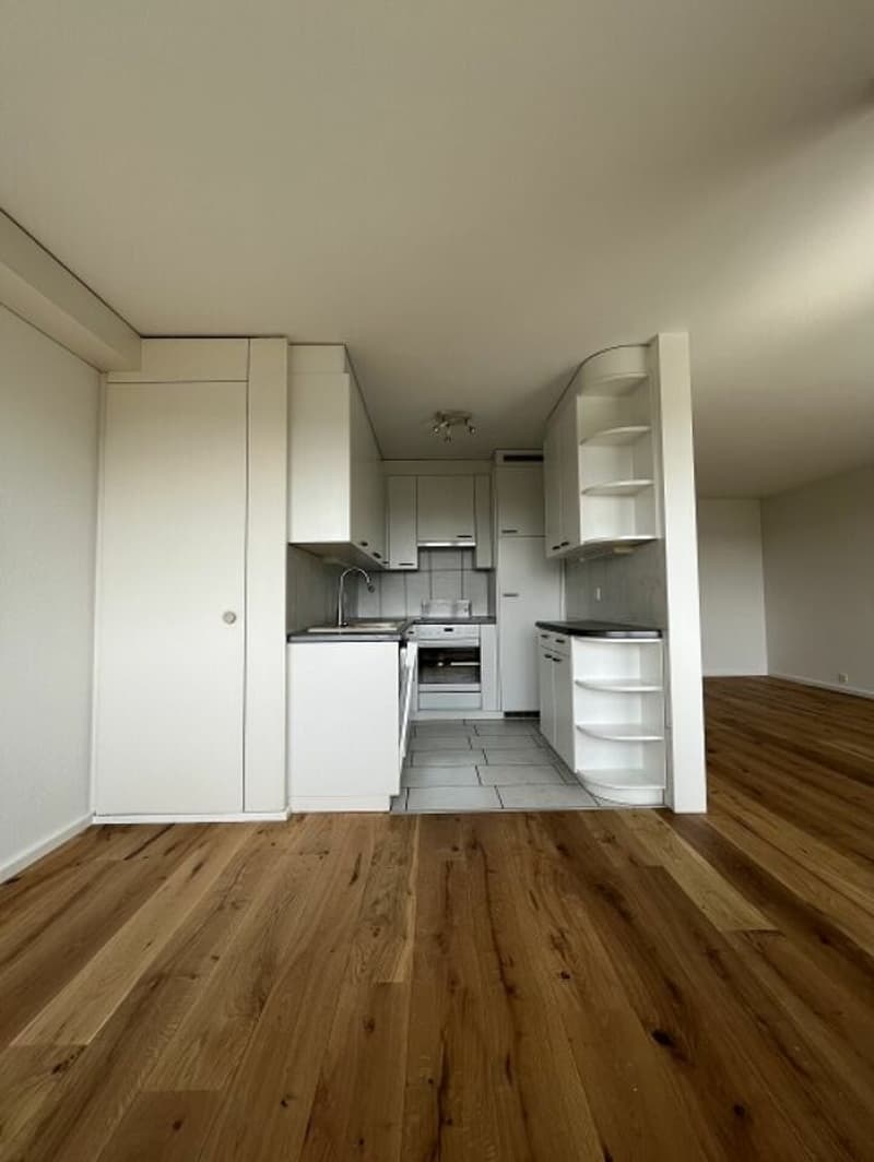 Helle 3.5-Zimmerwohnung im 13. Obergeschoss mit grossem Balkon und schöner Aussicht! (5)