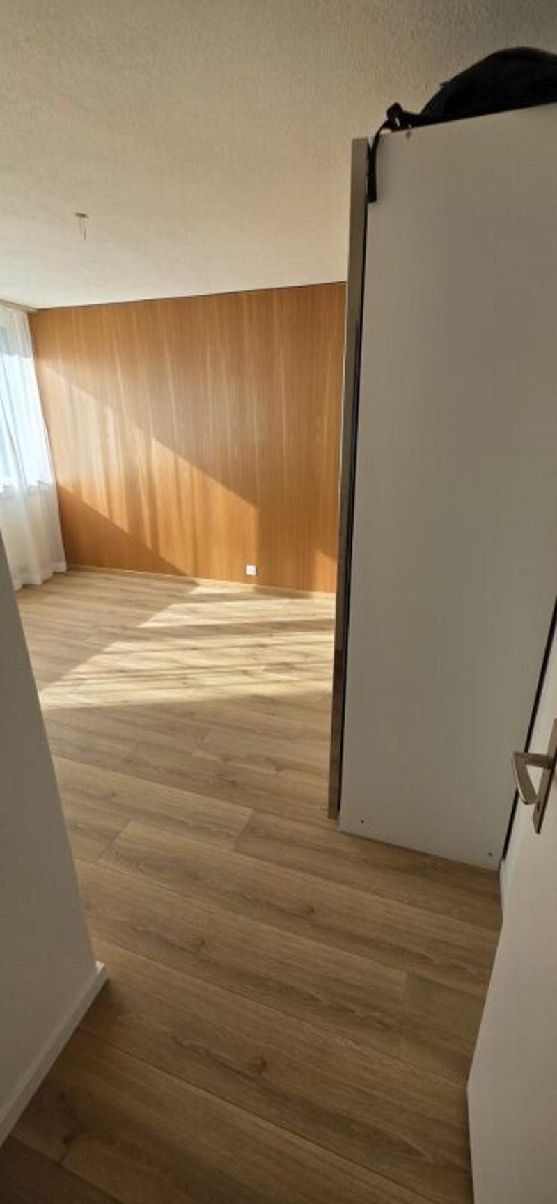 Helle, Grosszügige 4.5-Zimmerwohnung (6)