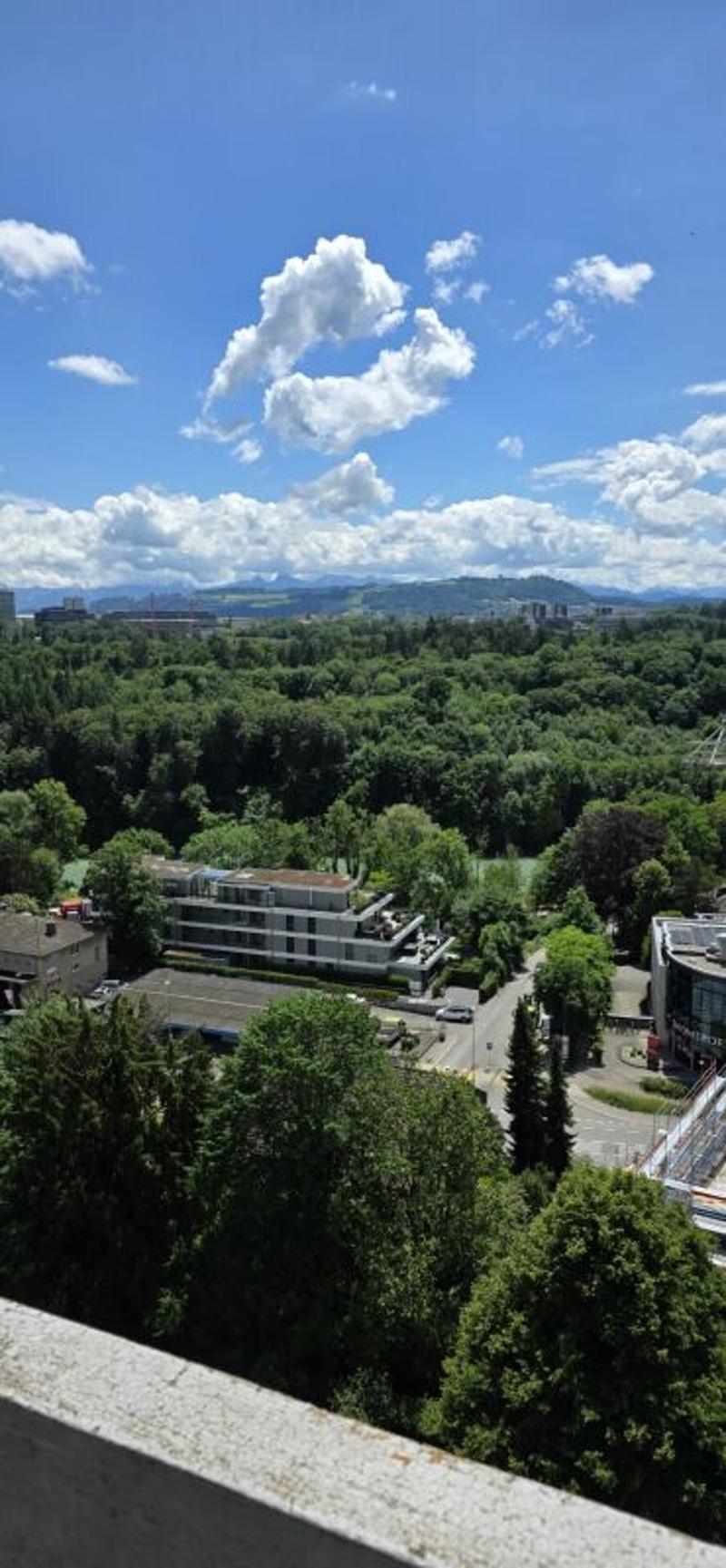 Helle 4.5-Zimmerwohnung im 14. Obergeschoss mit grossem Balkon und schöner Aussicht! (7)