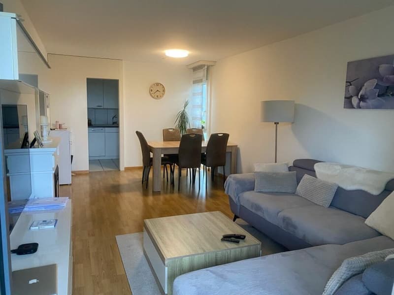 Helle 4.5-Zimmerwohnung im 14. Obergeschoss mit grossem Balkon und schöner Aussicht! (3)
