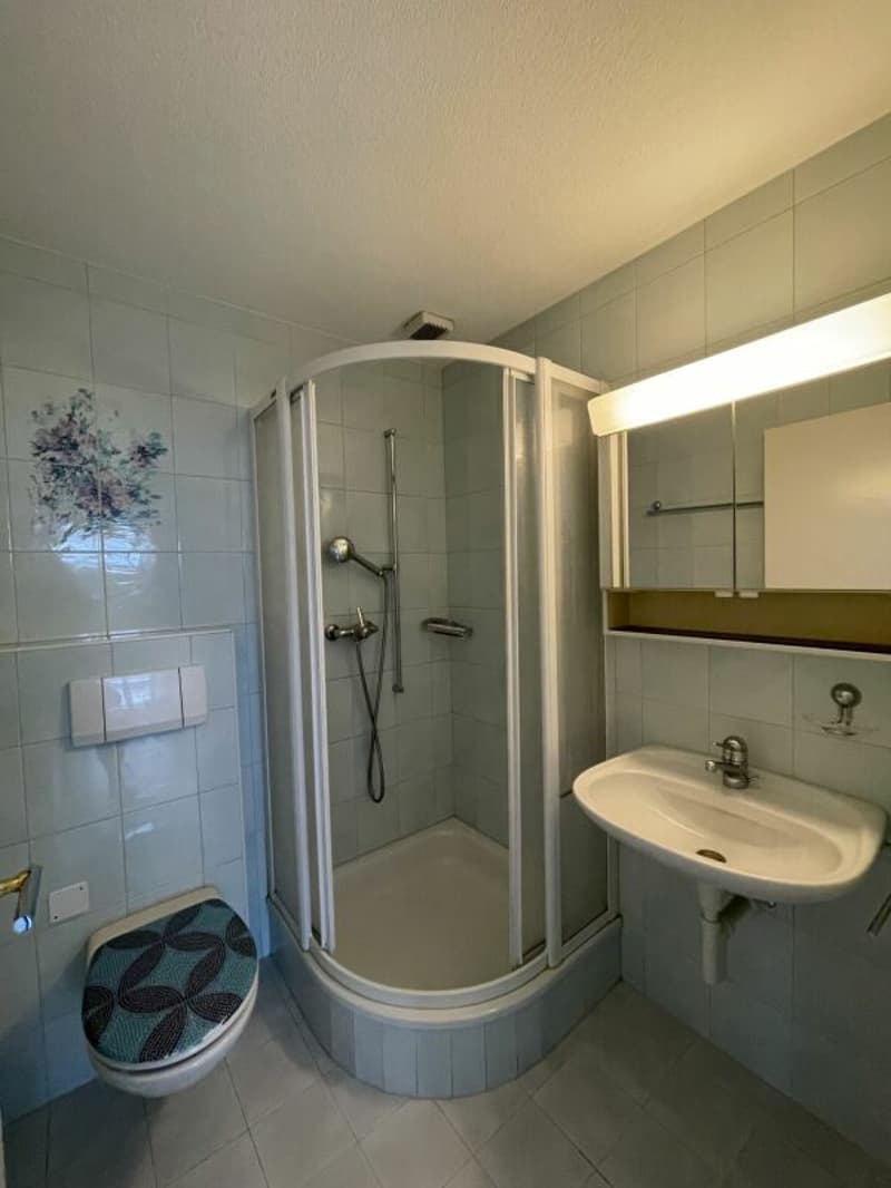 schöne und grosszügige 5-Zimmerwohnung mit Wintergarten in Bern/Eigerplatz zu vermieten! (7)