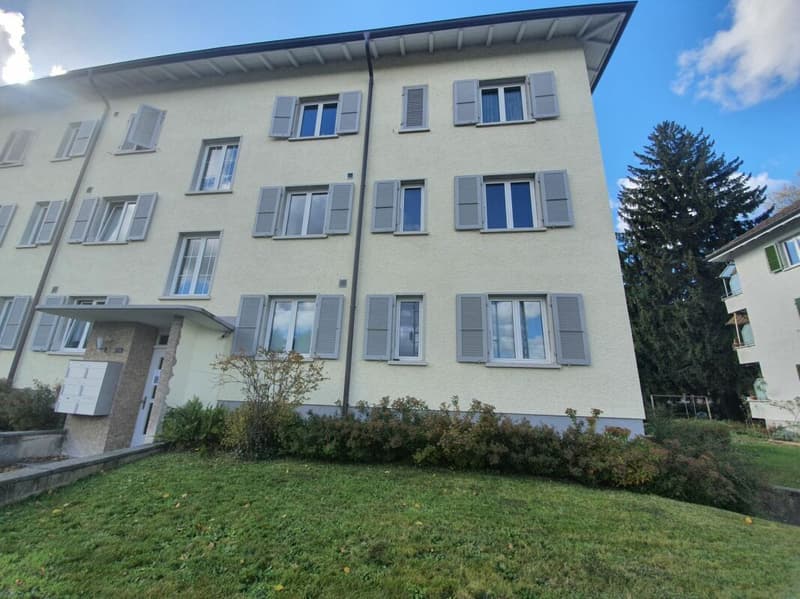 frisch gestrichene 3-Zimmerwohnung an zentraler Lage in Ostermundigen! (1)
