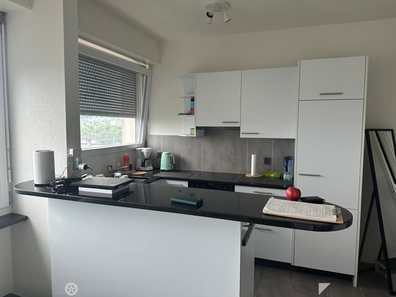 Lumineux appartement de 2 pièces avec balcon au 6e étage – Bienne (4)