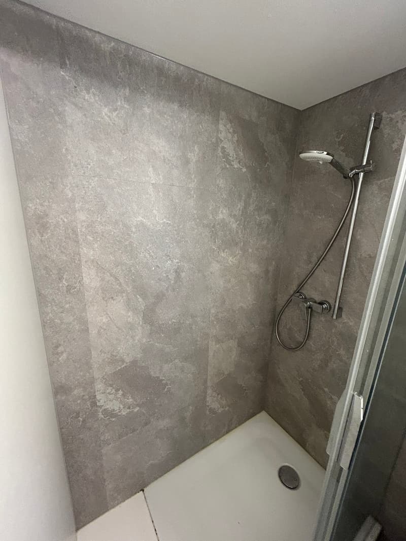 Magnifique 1.5 pièce au coeur de la vieille Ville de Bienne (11)