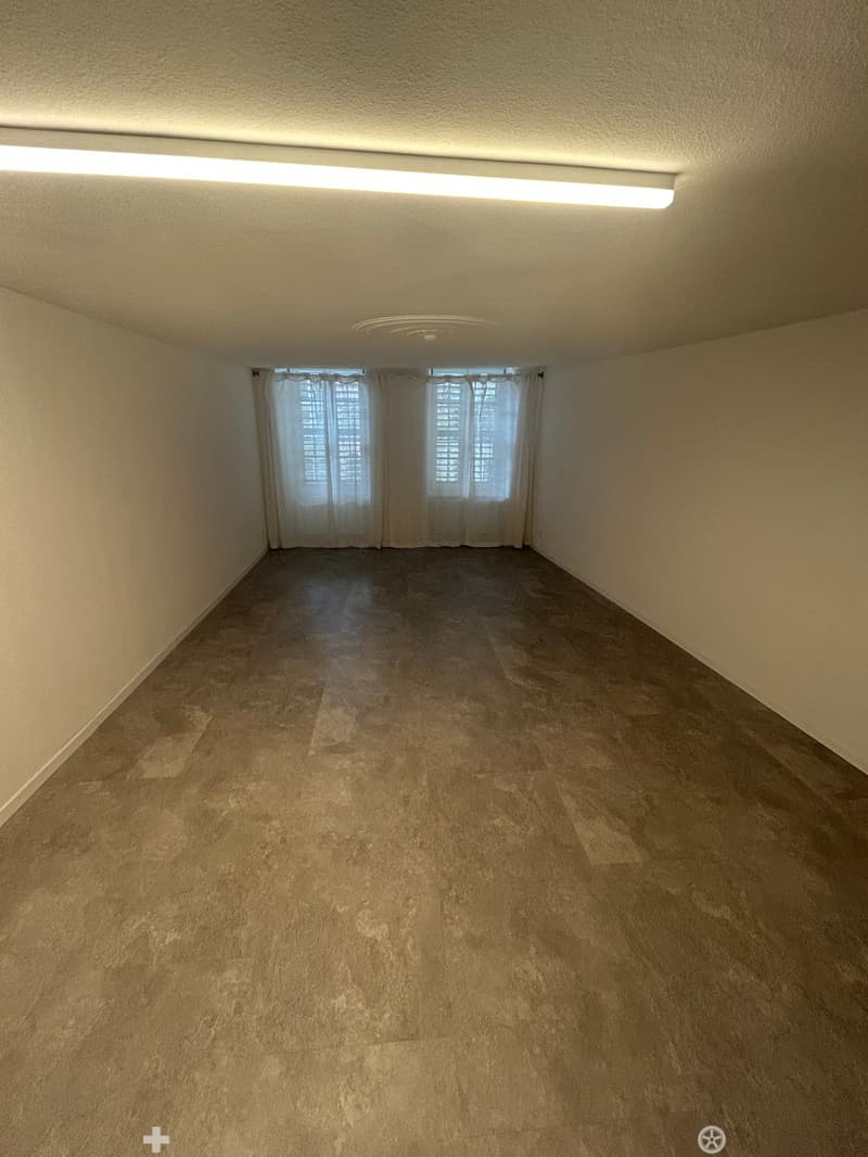 Magnifique 1.5 pièce au coeur de la vieille Ville de Bienne (5)