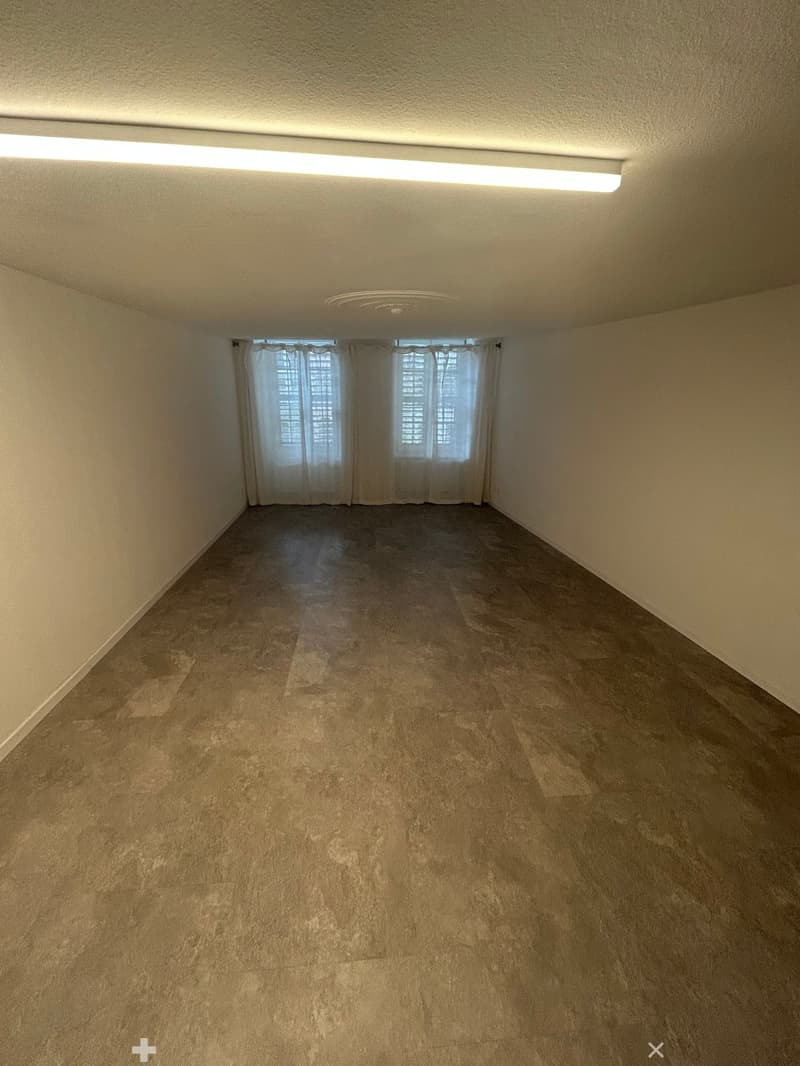 Magnifique 1.5 pièce au coeur de la vieille Ville de Bienne (5)