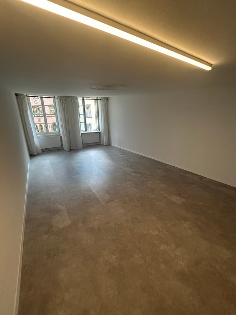 Magnifique 1.5 pièce au coeur de la vieille Ville de Bienne (8)